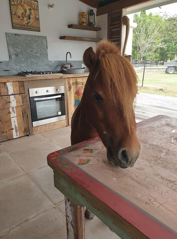 Thumbnail 6 of Equine Bed and Breakfast. A perfect mini-break