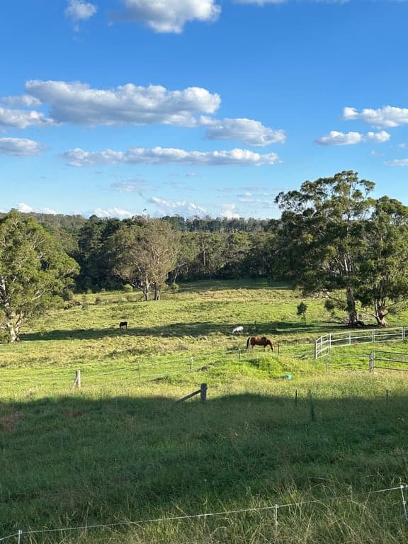 Photo of Hidden Brook Stays  perfect your horse.