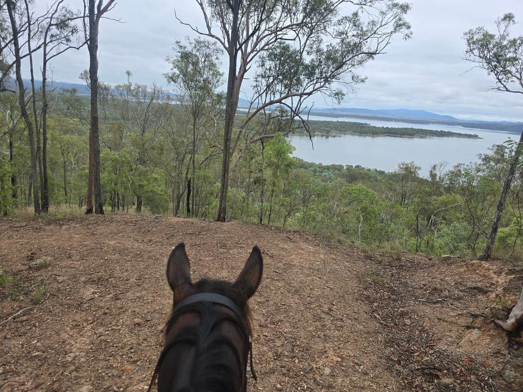 Thumbnail 8 of Welcome to Mount Mulgowie-off grid, horse friendly farm stay