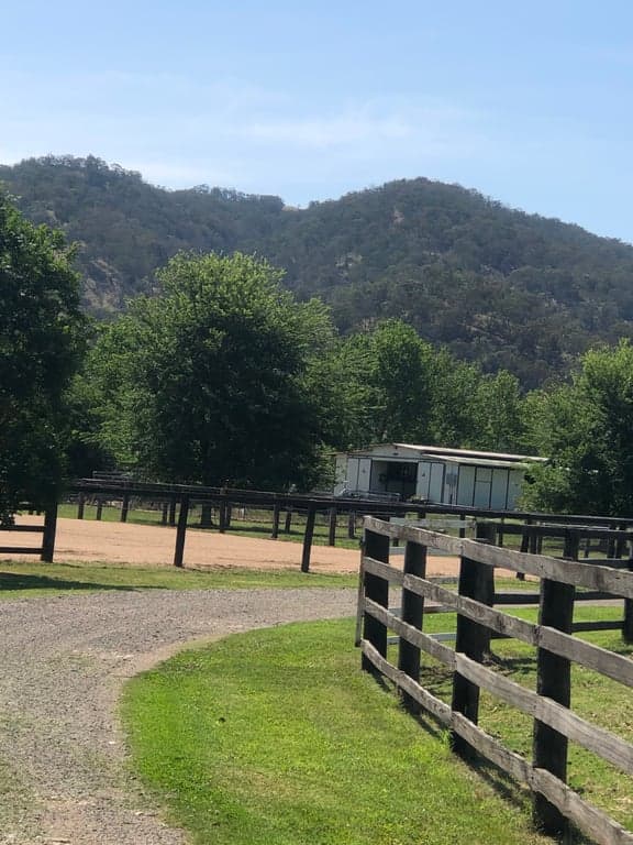 Overnight Horse Accommodation, Blandford, NSW (photo 1)