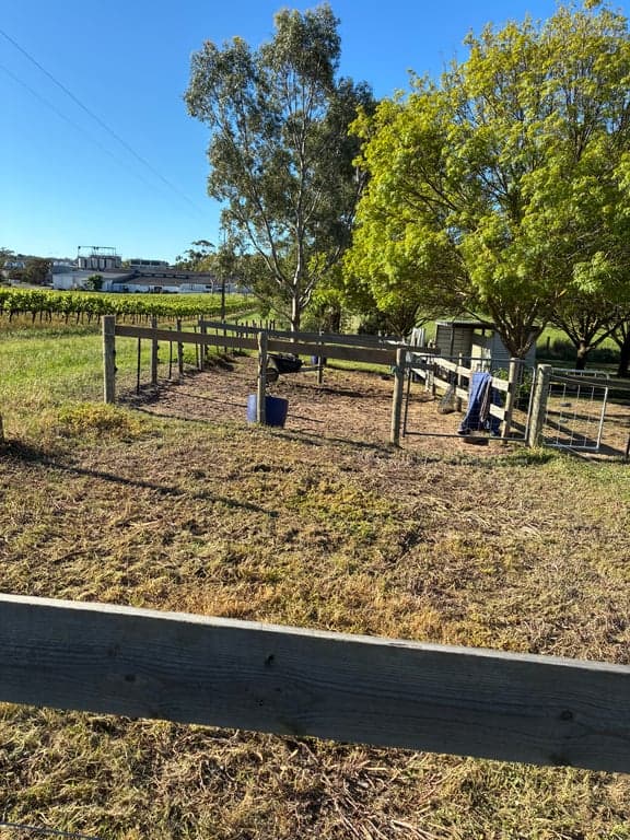 Farm Stay at Wine, horses, beaches, forests, sunsets...heaven on earth!, McLaren Vale, SA (photo 3)