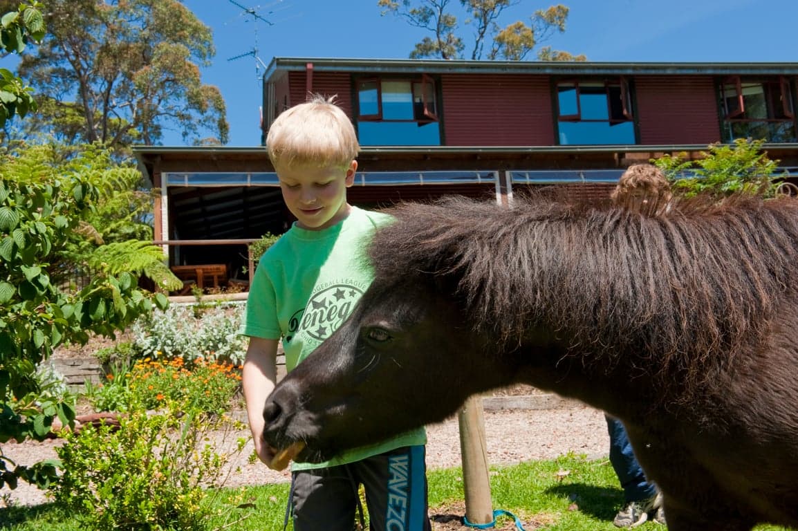Thumbnail 6 of Bilpin Country Lodge family accommodation in Blue Mtns NSW