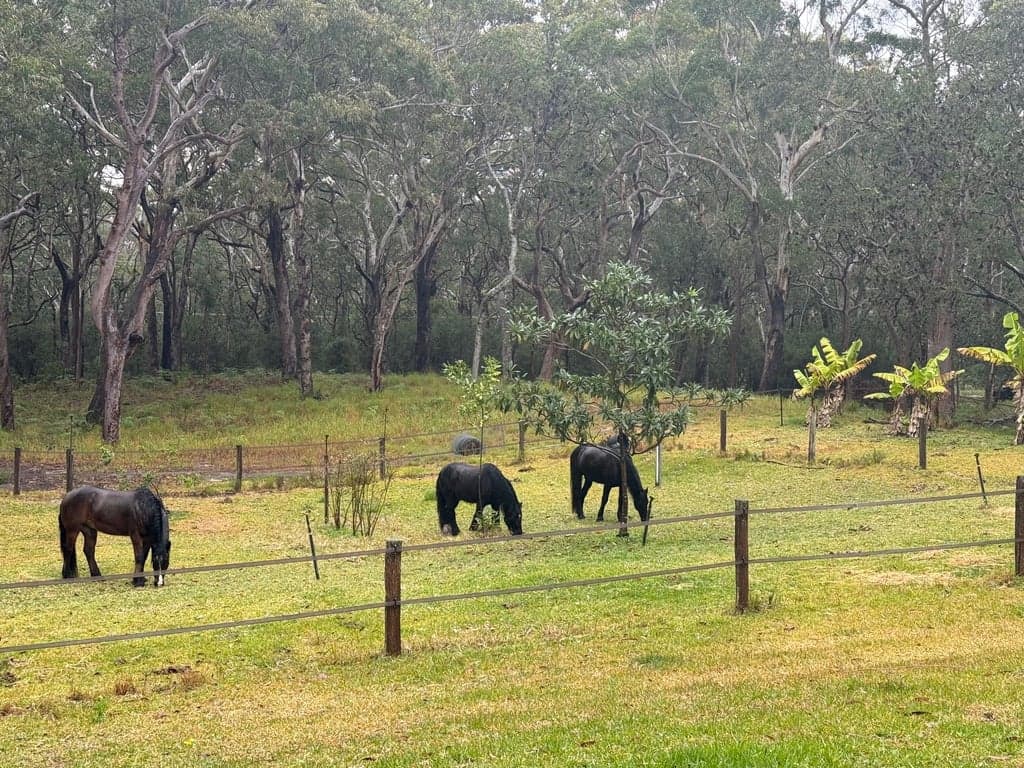 Thumbnail 2 of Short Horse Stays