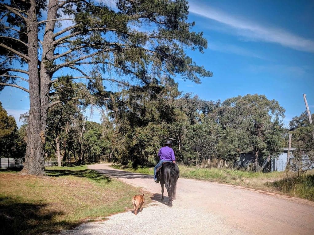 Thumbnail 4 of Donnellys Castle Bush & Horse Paddock Camping