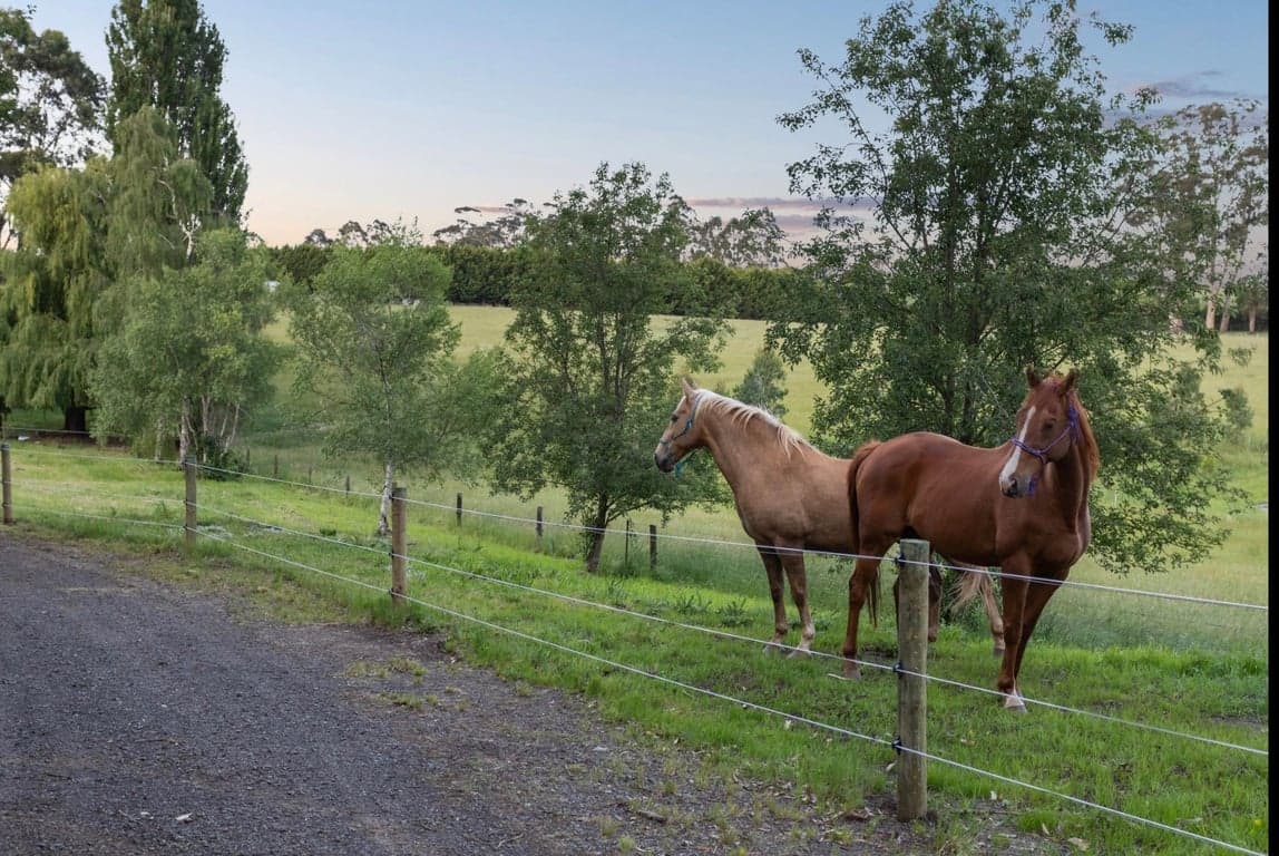 Farm Stay at Stunning location with Mountain views stateforest 5 min away, Neerim South, VIC (photo 6)