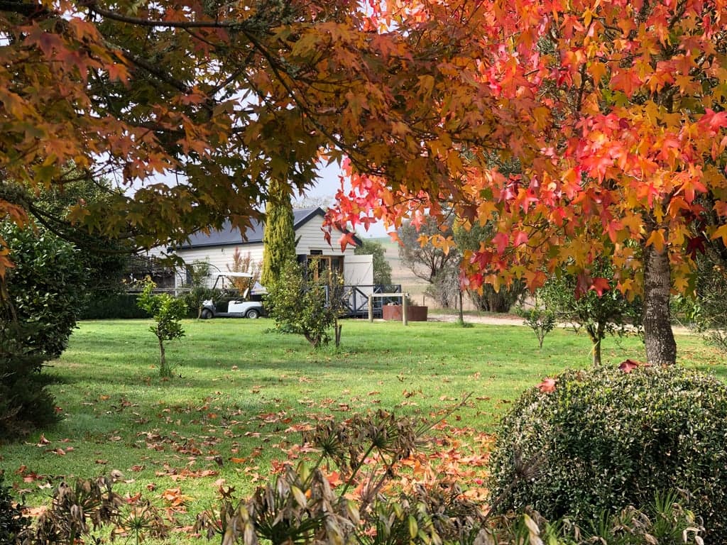 Farm Stay at 8 acres Yea. Close to the GV RailTrail and Yea township VIC, Killingworth, VIC (photo 3)