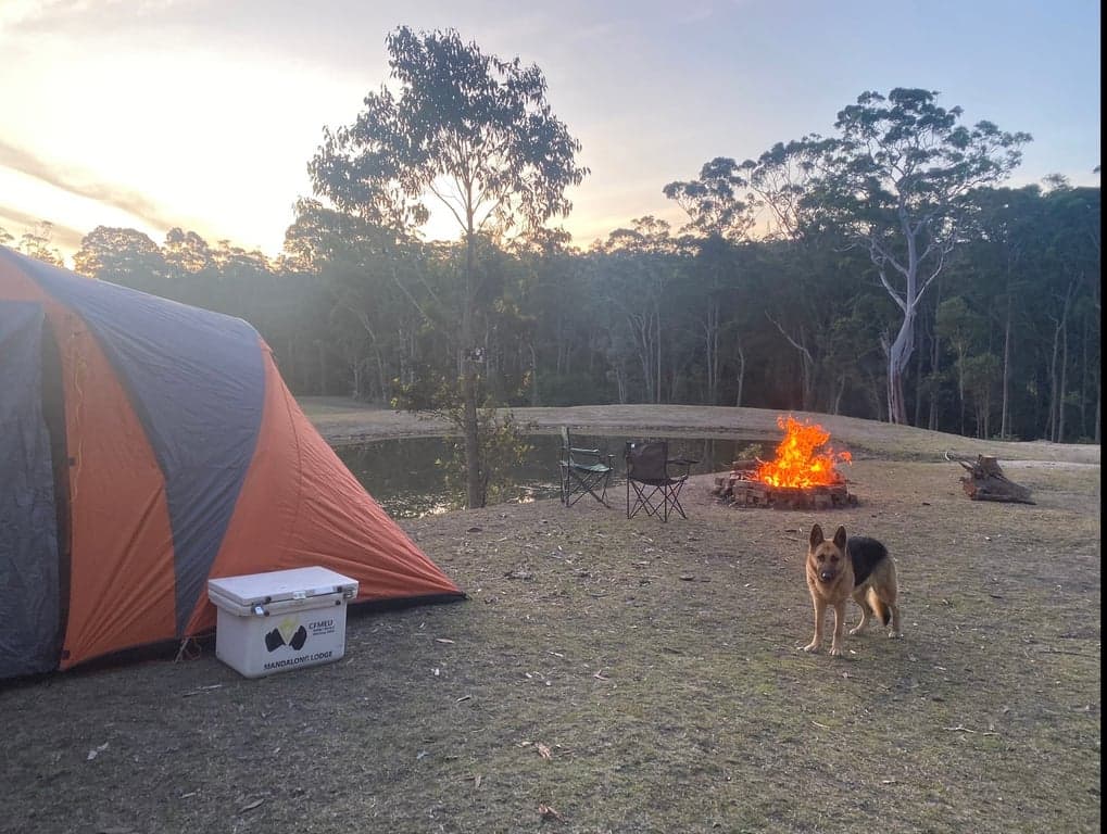 Farm Stay at Bring Your Horse – Camp, Ride & Explore, Awaba, NSW (photo 4)