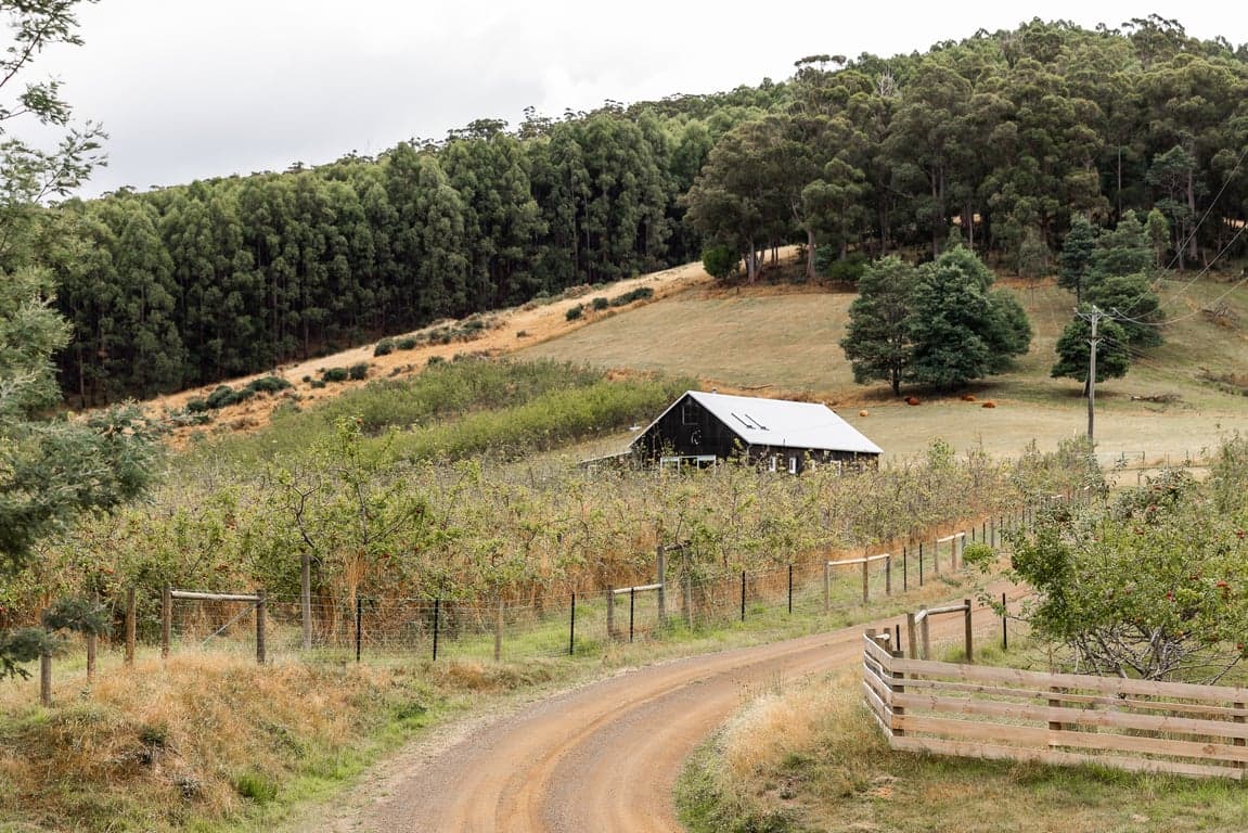 Thumbnail 4 of The Barn & Paddock