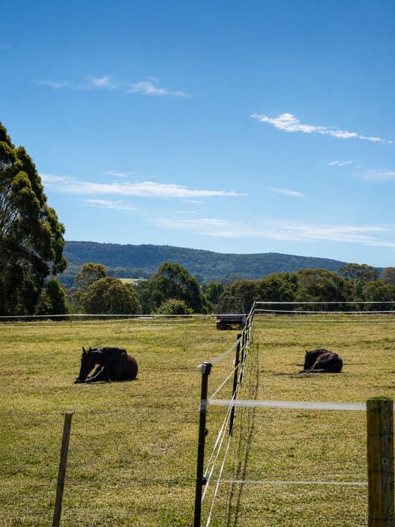 Barbera Creek Estate – Premium Country Agistment, Flaggy Creek, VIC (photo 1)