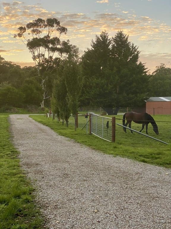 Farm Stay at Historic Barn Accommodation on 6 picture perfect acres., Blakiston, SA (photo 9)