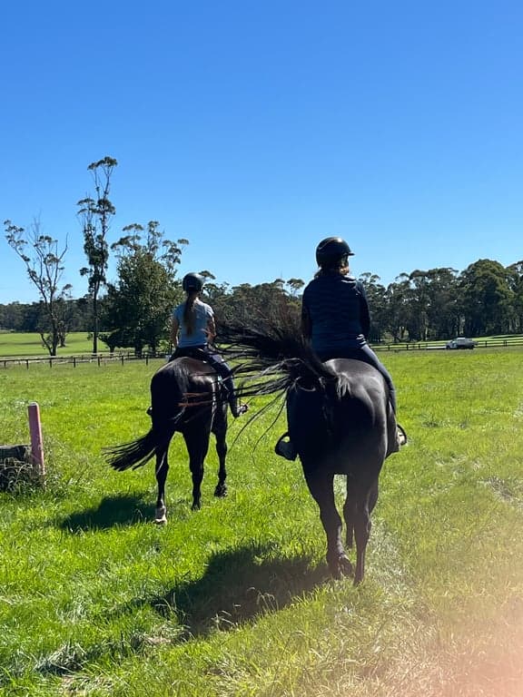 Thumbnail 2 of Holiday with your horse, dog and besties.