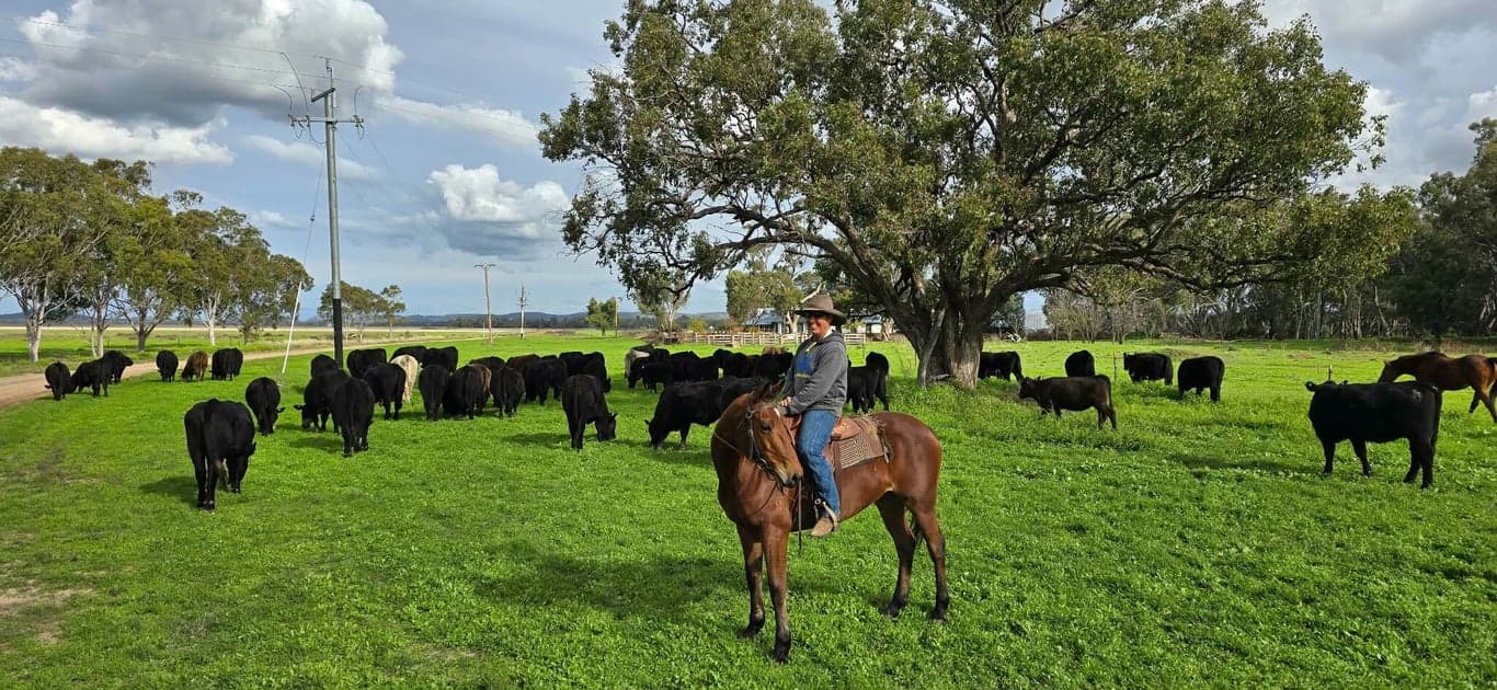 Namoi River, Kaputar Ranges & your farm stay in between!, Harparary, NSW (photo 1)
