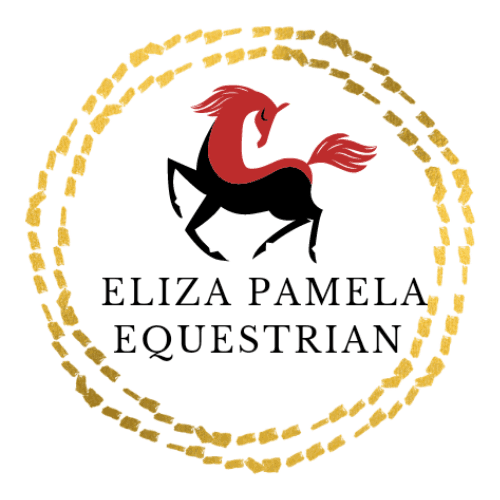 Thumbnail 2 of Dressage and Intro Horse Riding Lessons