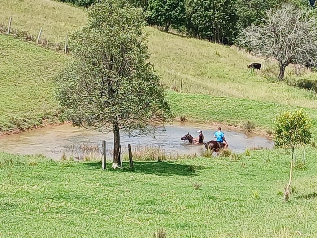 Thumbnail 4 of Homeville Horse Camp
Farmstay