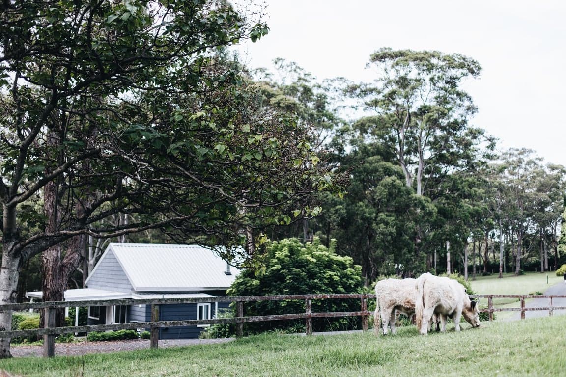 Photo of Stylish cottage accommodation + horse paddock/stable.