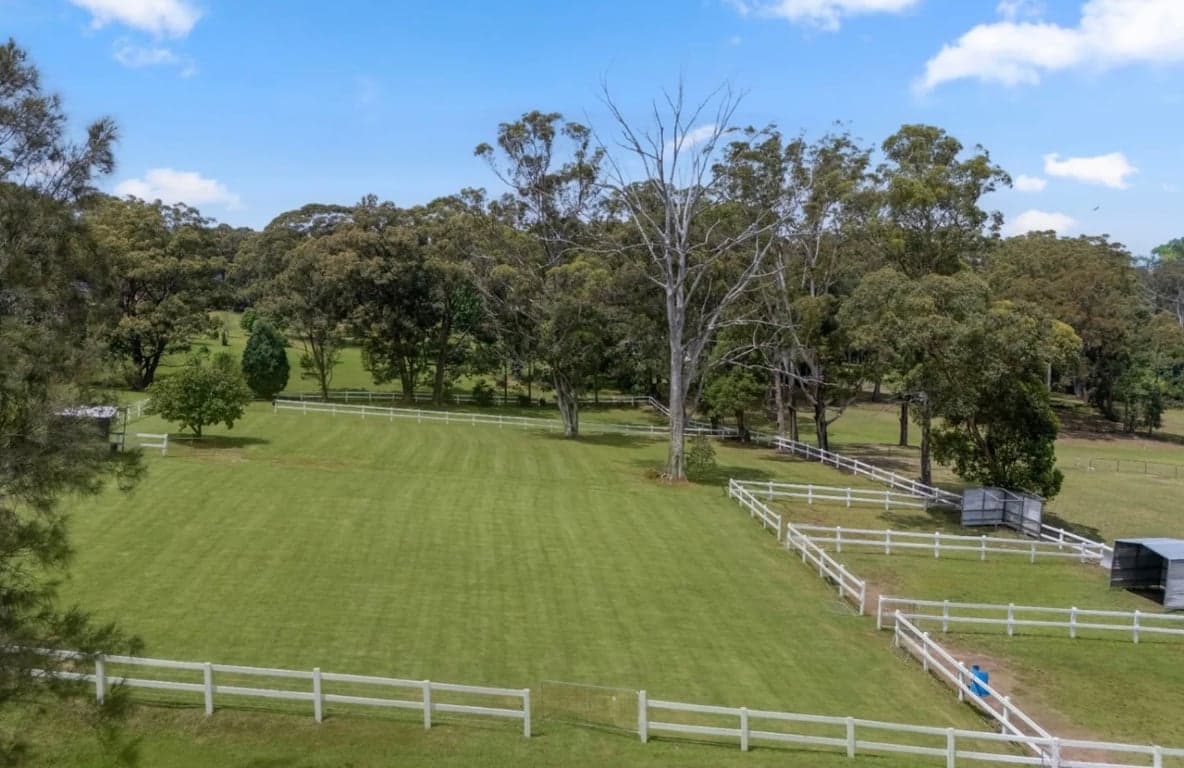 Private, family-run agistment in peaceful, grassy setting, Dural, NSW (photo 1)