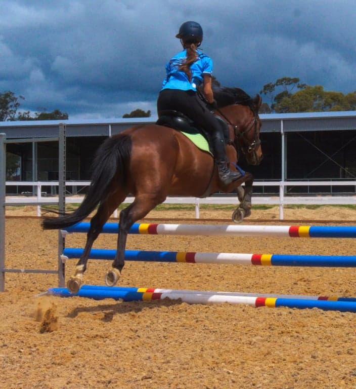 Thumbnail 5 of Equestrian Short Stay - Train, Stay & Ride in Central Vic