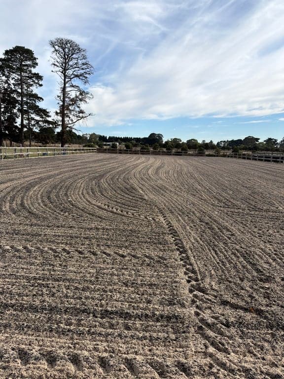 Thumbnail 9 of Premium DIY Horse Agistment