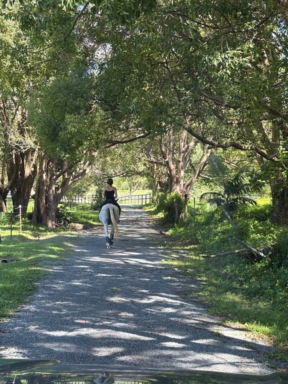 Thumbnail 6 of Ubuntu Horse & Farm Stay in Tallebudgera