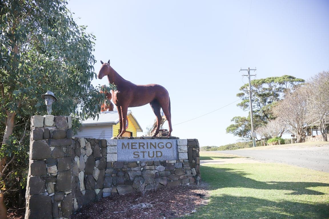Farm Stay at Meringo Paddock Stays , Ride the beach or trails (photo 10)
