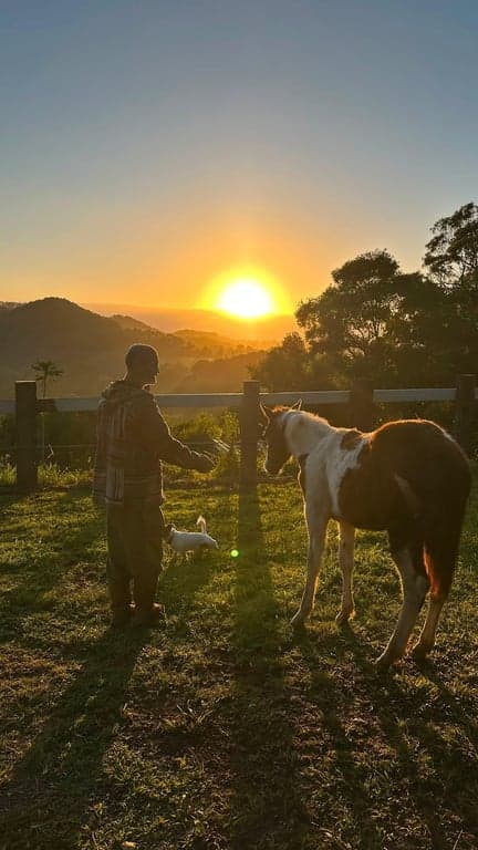 Farm Stay at The Matrix train. Rail trail or wooyung beach horse rides., Burringbar, NSW (photo 1)