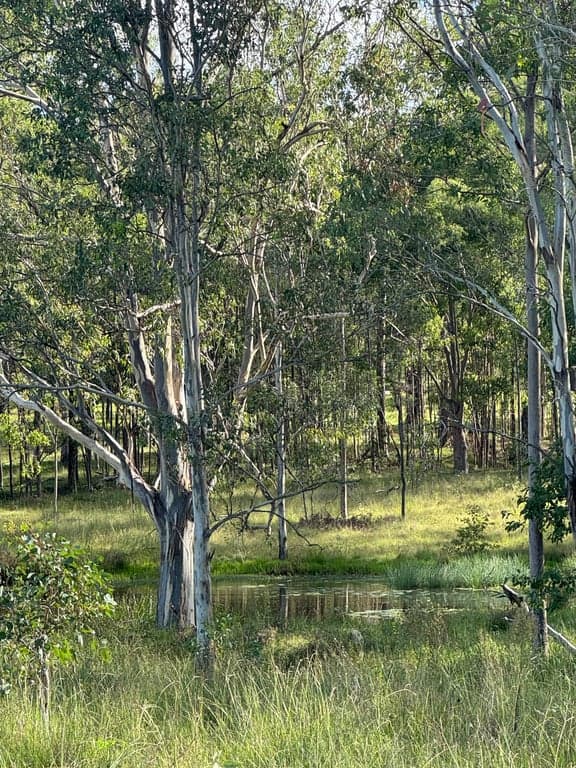Thumbnail 2 of Long Shadows - Relaxed Country Stay for You & Your Horse