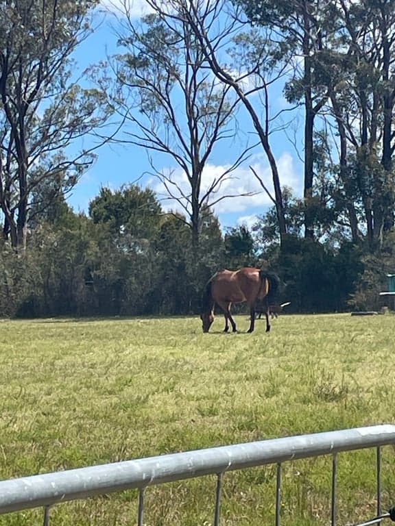 Thumbnail 6 of Farm stay with paddock and trails at the frontdoor