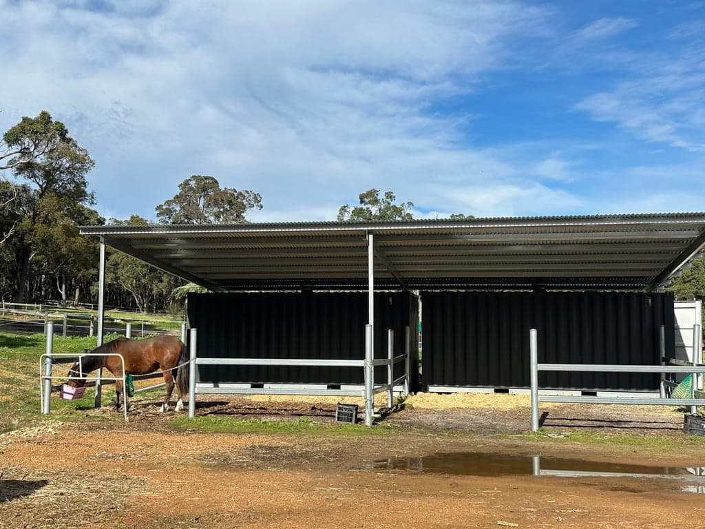 Thumbnail 2 of A horse first accomodation