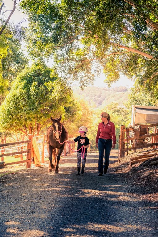 Farm Stay at Stay 'n' Ride at Doomben Ridge farm House!, Beechmont, QLD (photo 3)