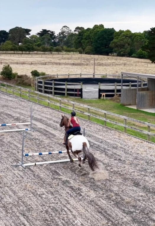 Photo of Private Full Care Horse Agistment