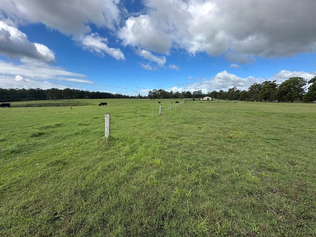 🐄 Cattle Agistment Available – Cessnock NSW