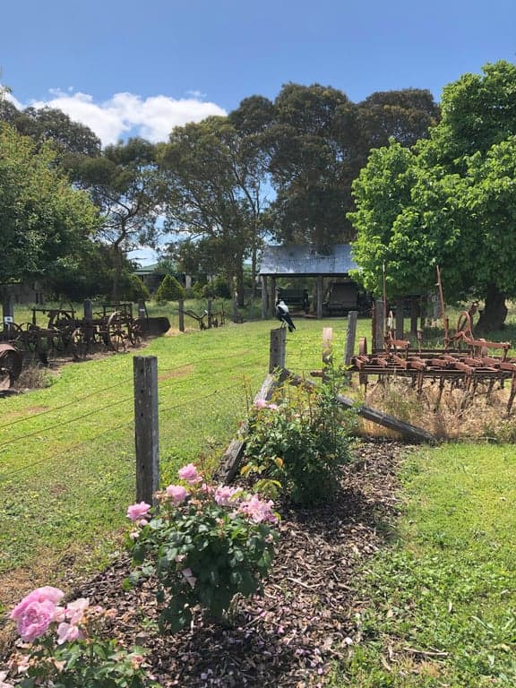 Farm Stay at Equestrian adventure in the charming Coonawarra wine region, Penola, SA (photo 7)
