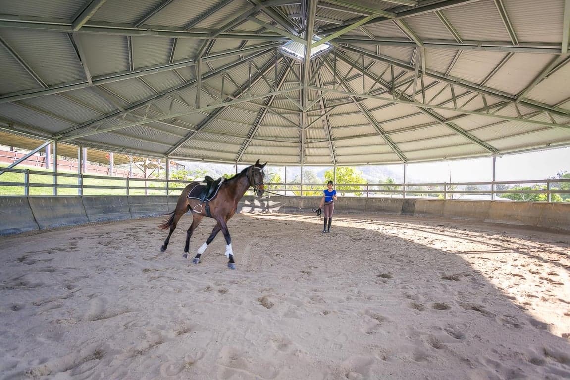 FULL CARE AGISTMENT AVAILABLE WITH FIRST CLASS FACILITIES, Biddaddaba, QLD (photo 10)