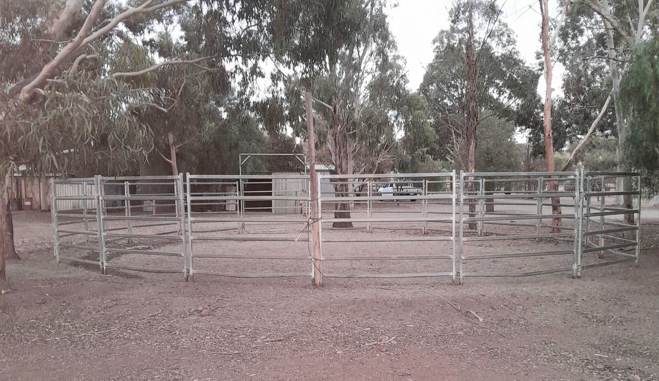 Thumbnail 8 of Yard with shelter and share paddocks. Arena and round yard