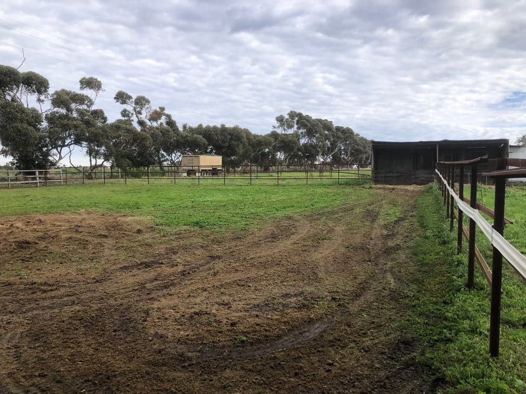 Amazing close to city Melbourne Boutique Horse Agistment, Greenvale, VIC (photo 10)