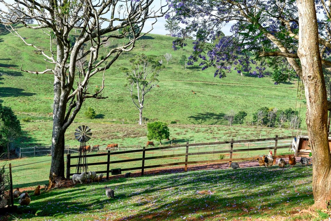 Thumbnail 5 of Stay 'n' Ride at Doomben Ridge farm House!