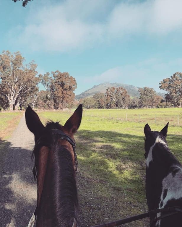 Thumbnail 2 of Camping with Horses