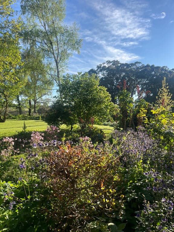 Thumbnail 5 of Trentham garden cottage with lake views & secure paddock
