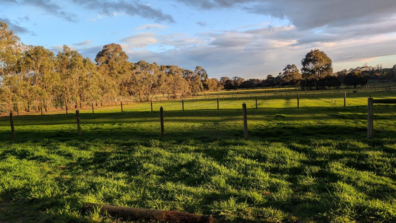 Thumbnail 6 of Middle Corral | Horse Agistment in Pearcedale