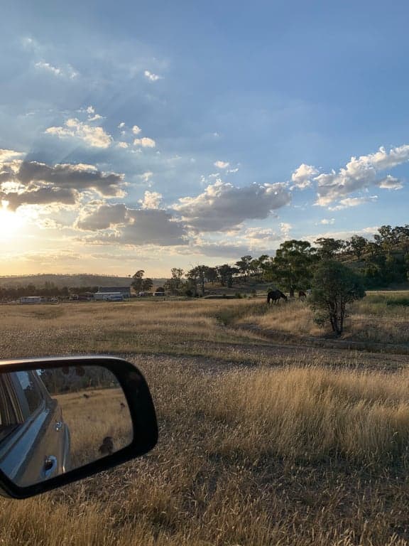 Thumbnail 5 of Agistment located near Orange NSW