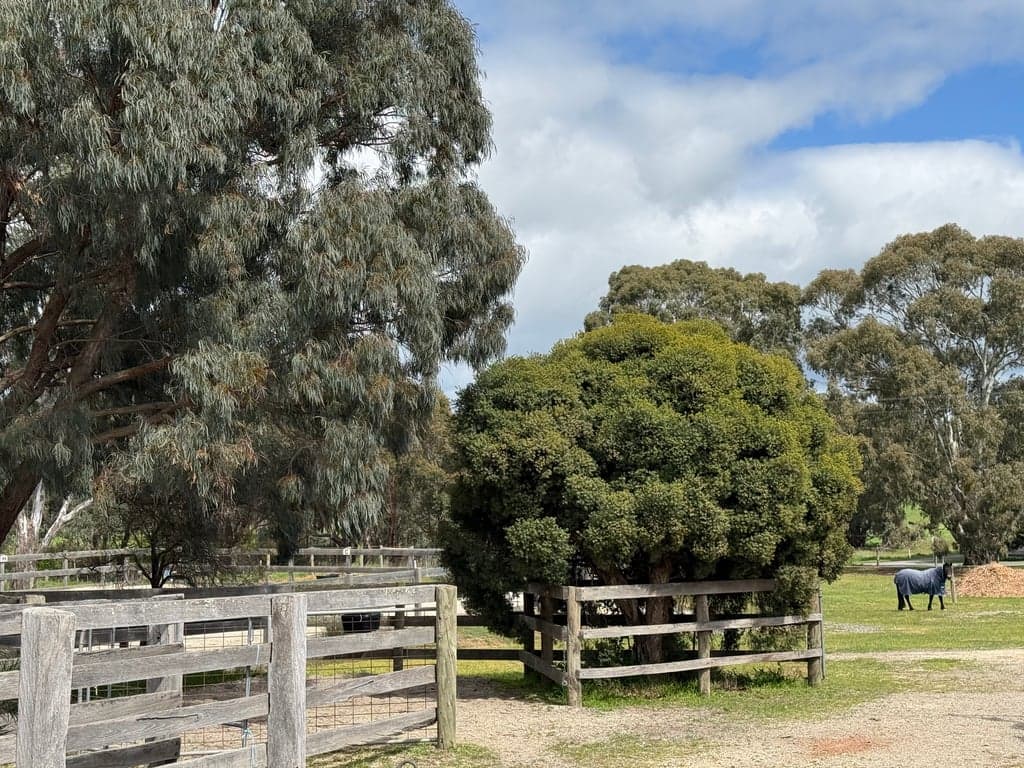 Farm Stay at 8 acres Yea. Close to the GV RailTrail and Yea township VIC, Killingworth, VIC (photo 10)