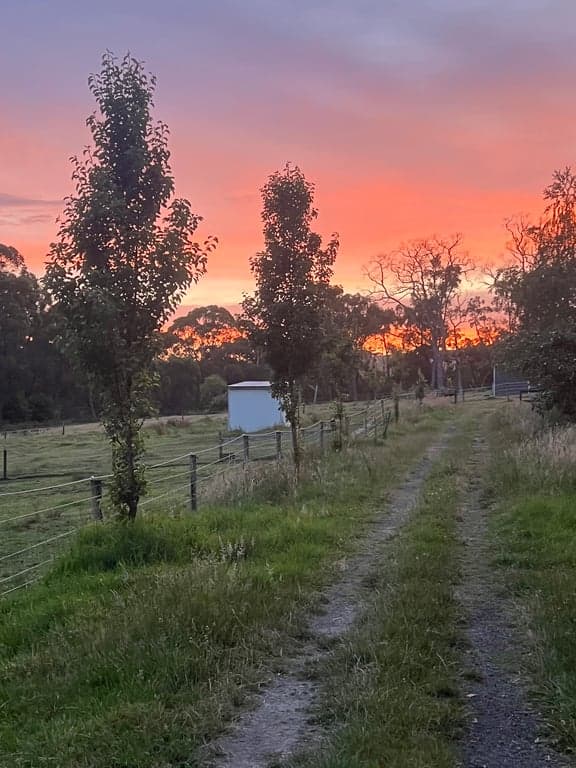 Photo of Ride own horse on Great Southern Rail Trail and stay in Tiny