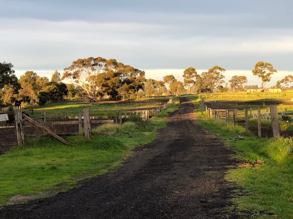 Amazing close to city Melbourne Boutique Horse Agistment, Greenvale, VIC (photo 5)