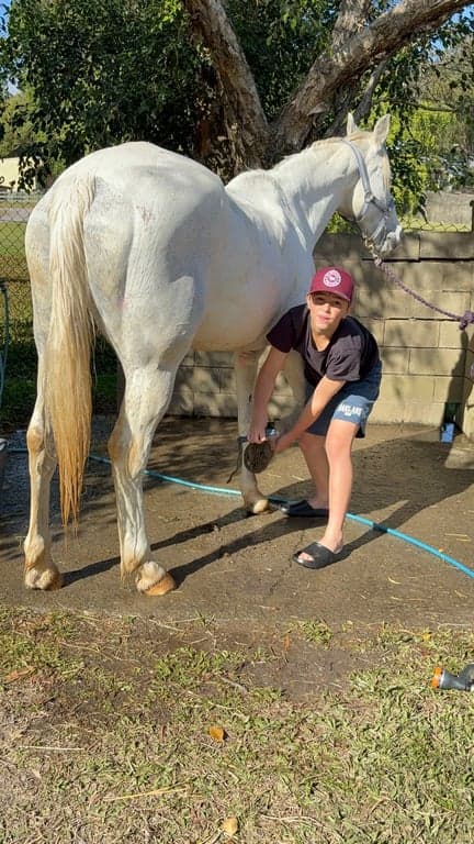 Thumbnail 10 of Ubuntu Horse & Farm Stay in Tallebudgera