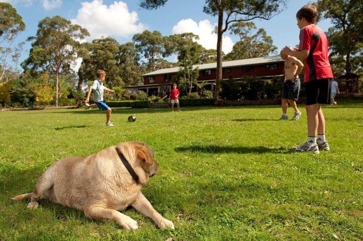 Thumbnail 9 of Bilpin Country Lodge family accommodation in Blue Mtns NSW