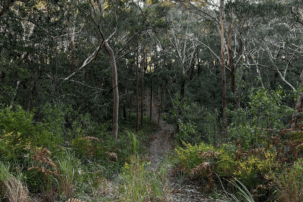 Thumbnail 7 of Short Horse & Camping Stays