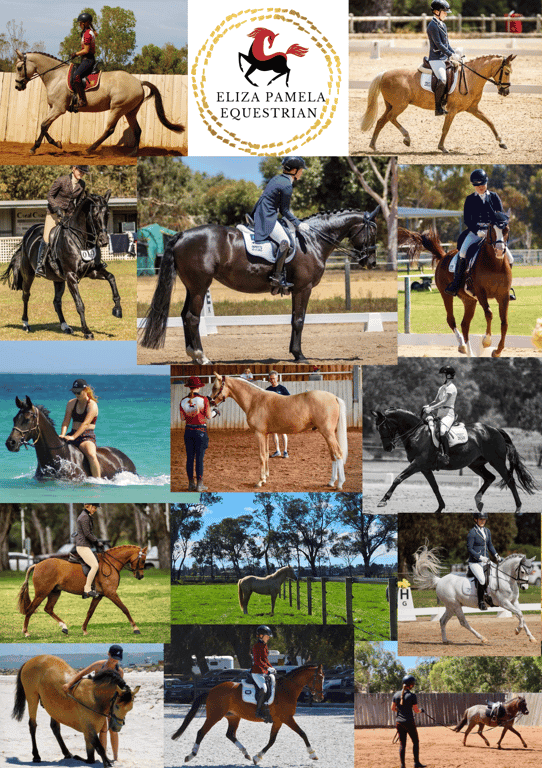 Photo of Dressage and Intro Horse Riding Lessons