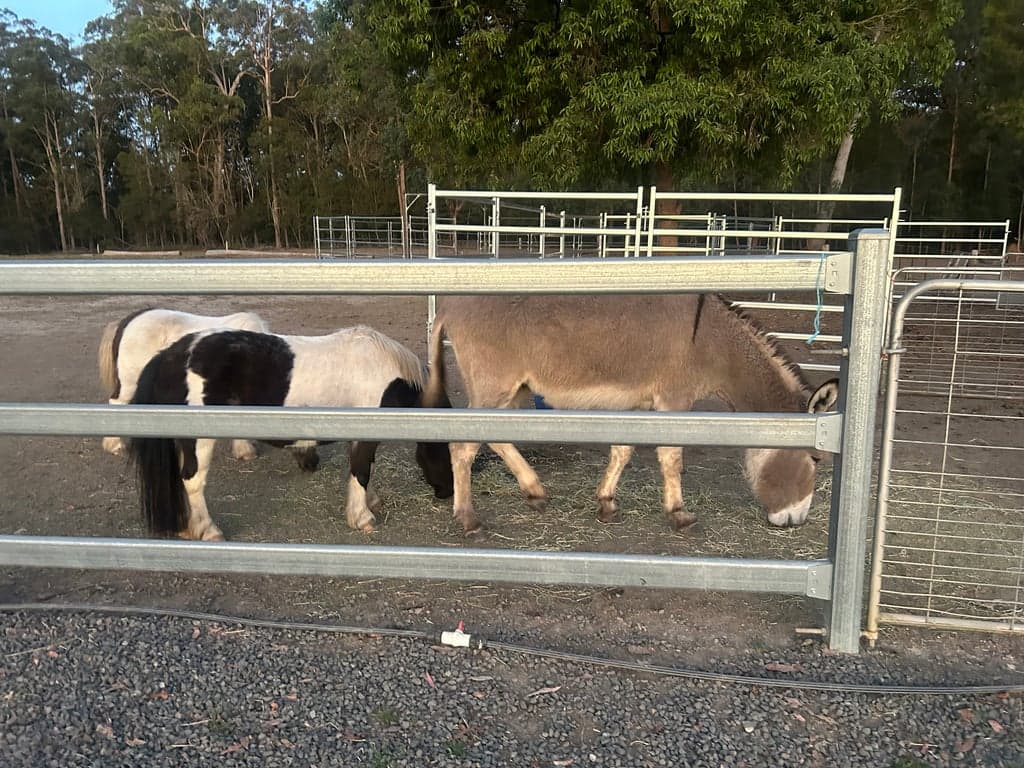 Thumbnail 4 of Country Haven horse camping