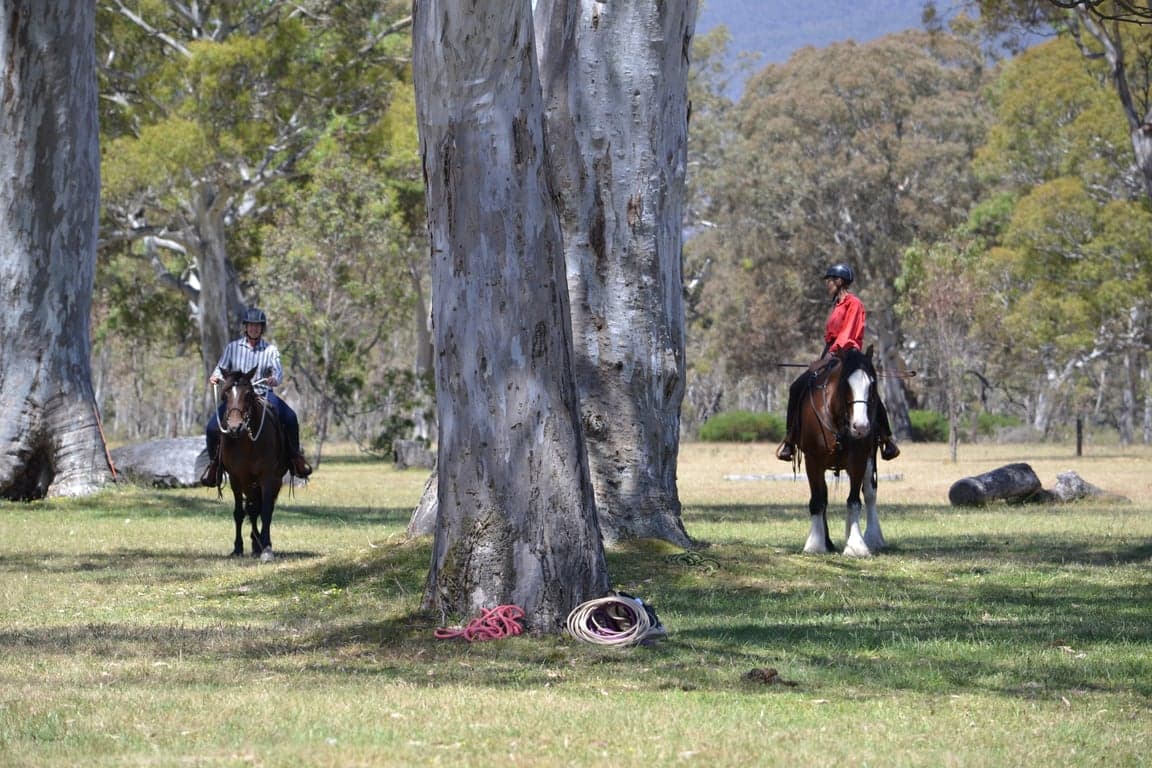 Thumbnail 3 of Holiday with your horse! Accom option #2