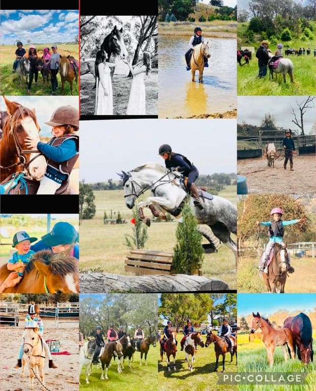 Thumbnail 2 of Riding lessons for all ages and abilities